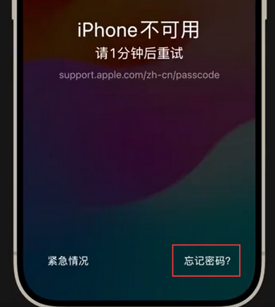 仁寿苹果手机密码维修分享iPhone忘记了刚设置的密码 