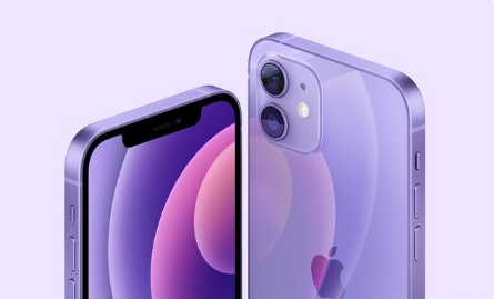仁寿苹果手机维修分享紫色版iPhone 12有什么技术亮点 