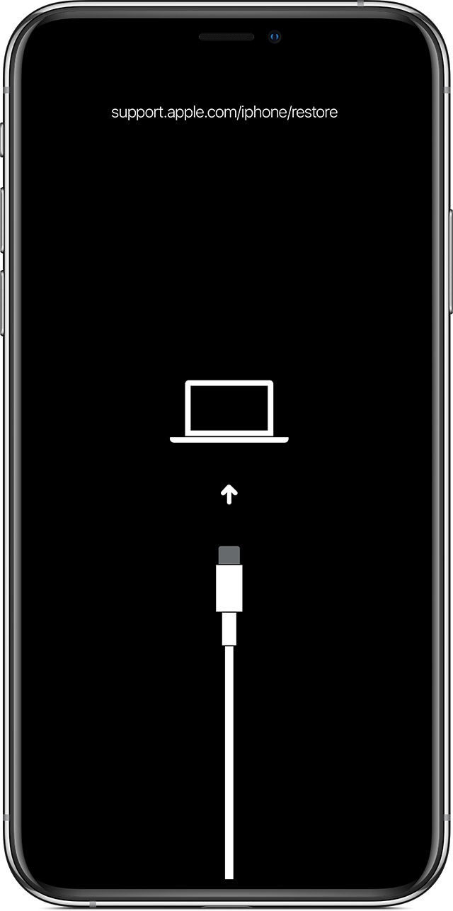 仁寿苹果手机维修分享iPhone 输入锁屏密码出现方框，且原密码不正确怎么办 